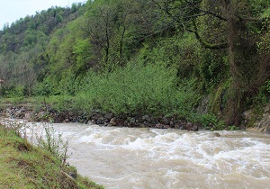 سموش تکه‌ای از بهشت گیلان + تصاویر