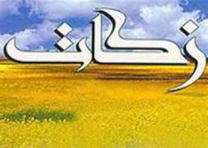 پرداخت زكات يكی از مهمترين اركان دين مبين اسلام است