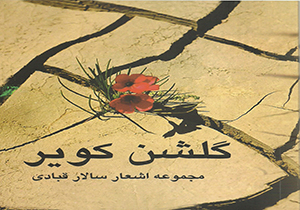 رونمایی از مجموعه شعر  " گلشن کویر" در بروجرد