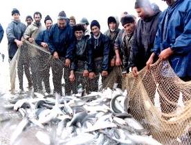 صیادان هندیجانی خواستار صدور مجوز فعالیت صید