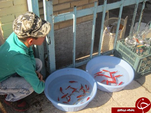 پرسه در قبرستان برای لقمه&zwnj;ای نان/ دلم می&zwnj;خواهد دکتر شوم