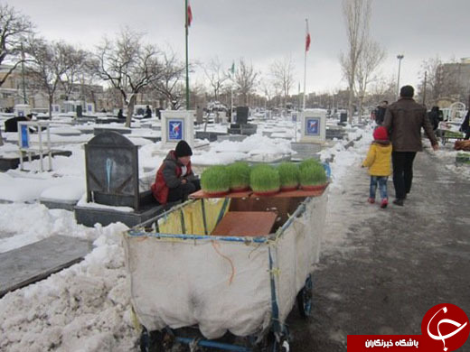پرسه در قبرستان برای لقمه&zwnj;ای نان/ دلم می&zwnj;خواهد دکتر شوم
