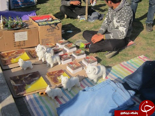پرسه در قبرستان برای لقمه&zwnj;ای نان/ دلم می&zwnj;خواهد دکتر شوم