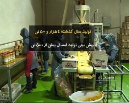 ارز آوری 400 هزار دلاری یک واحد بسته بندی