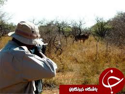 دستگیری شکارچی غیرمجاز در رودبار