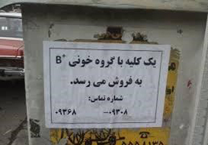 جولان دلالان فروش اعضای بدن/ عدم نظارت دولت و نابسامانی اهدای عضو در کشور