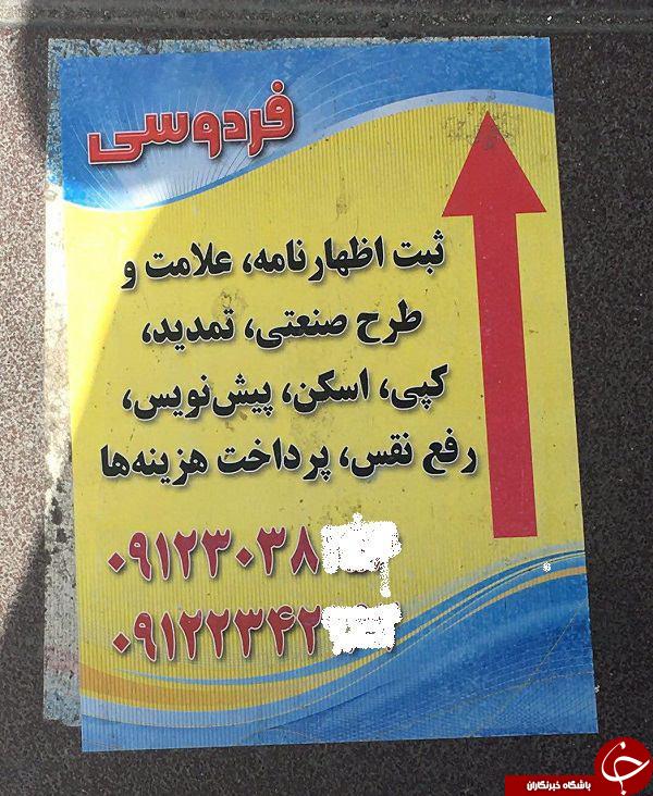 کهنسال ترین درخت ایران/بندبازی مرد چینی میان دو کوه/زیباترین پشت بام  جهان/نمایی شگفت انگیز ارآبشار نیاگارا/زیباترین هتل دنیا دردل کوه