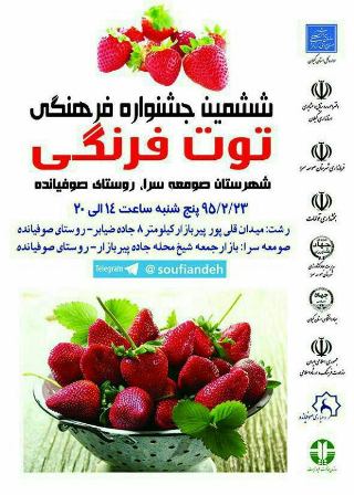 برگزاری ششمین جشنواره فرهنگی، توت فرنگی در صوفیانده