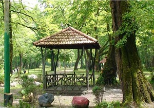احداث اولین پارک جنگلی در اردبیل
