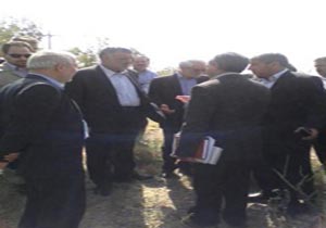 بازدید وزیر جهاد کشاورزی از باغ زیتون حسن آباد