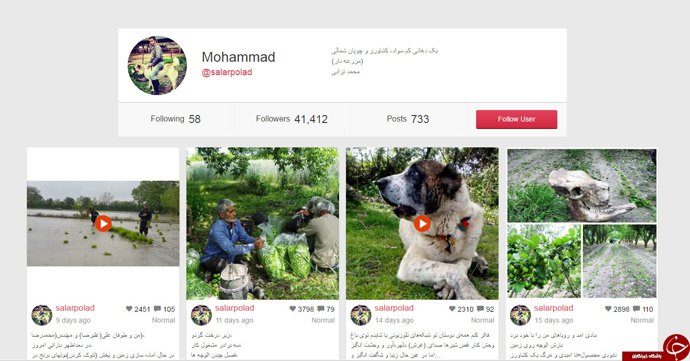 برای بالا بردن فالوئر نیازی نیست معروف باشید + راهکار