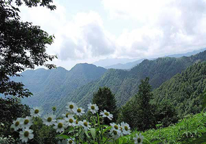 نکاتی خواندنی درباره اردبیل