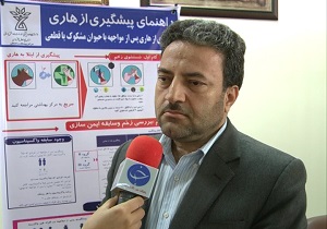 افزایش مبتلایان به بیماری هاری و تب مالت در چهارمحال و بختیاری