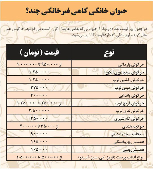 قیمت حیوانات خانگی مد روز!