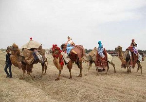 برگزاری ششمین جشنواره ملی کوچ عشایر در بیله سوار