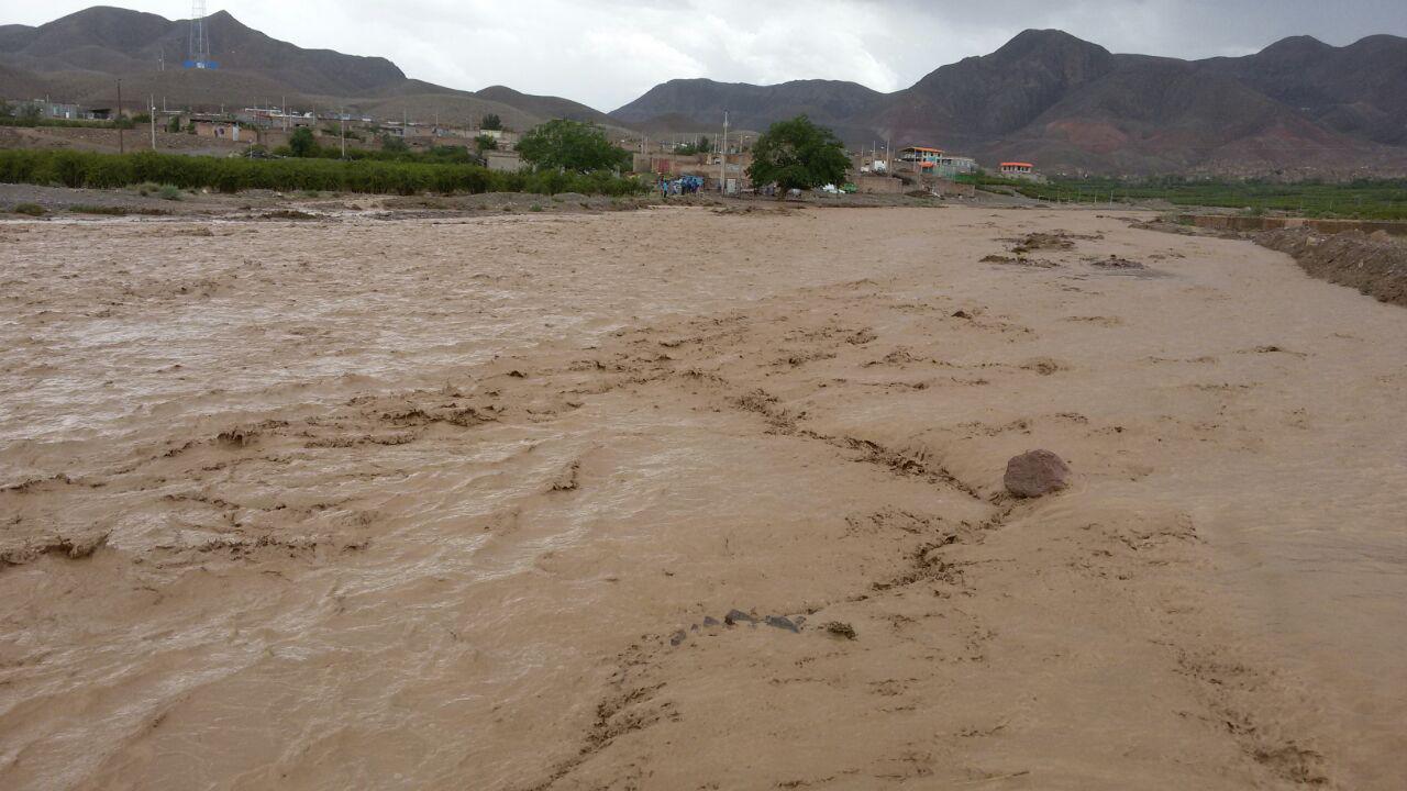 سیل، کبودان را برد + فیلم
