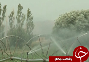 از کاهش کشت لاله های واژگون تا آبیاری مکانیزه جایگزین کشاورزی سنتی + فیلم