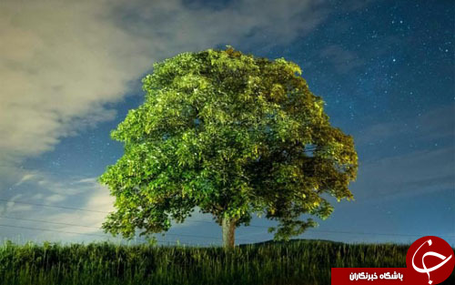 از طویل&zwnj;ترین هواپیمای مسافربری جهان تا هاکی بازی کردن ولادیمیر پوتین