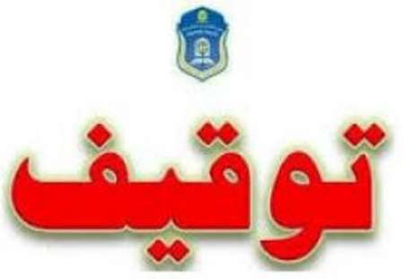 توقیف 8 محموله غیرمجاز دامی درهمدان