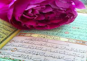 خواندن سوره‌های قرآن چه ثوابی دارد؟
