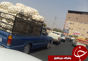 کارناوالی از جنس پیاز! + فیلم