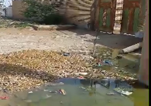 مشکلات اهالی روستای ثدین + فیلم