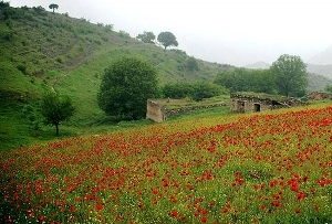 قلع وقمع تغییر کاربری غیر مجاز اراضی زراعی در بخش خواجه شهرستان هریس