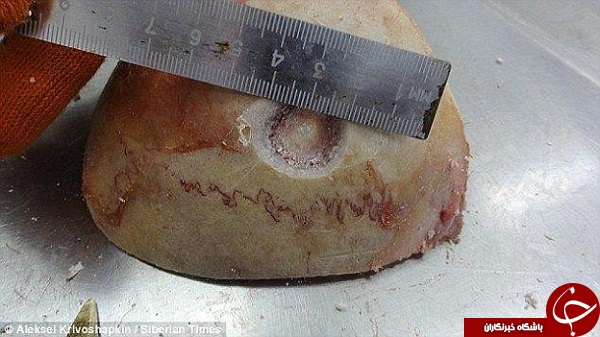 سوراخ کردن مغر، آیین کهن در روسیه+ تصاویر سوراخ کردن مغر، آیین کهن در روسیه+ تصاویر