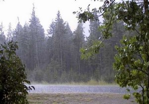 برگزاری اولین کارگاه آموزش سفیران پروژه "نماد" در درمیان