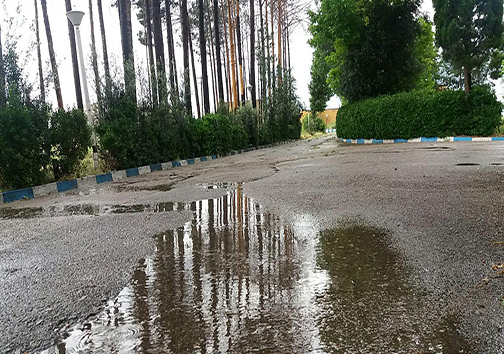 بارش باران و طراوت هوا در لرستان