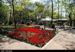 بوستان مرزداران در شهرستان هیرمند ایجاد می‌شود