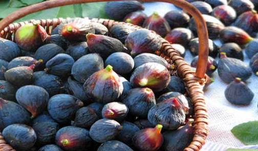میوه ای بهشتی با خواص دنیوی