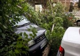 طوفان با سرعت 90کیلومتربر ساعت دربافق