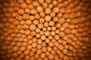 نارنجیه پر انرژی