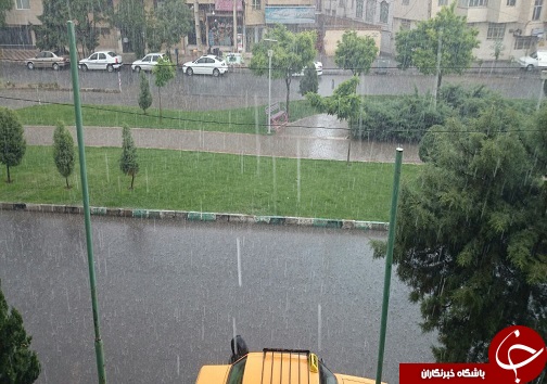 تماشای رحمت الهی
