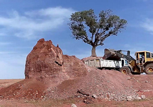 شهروندخبرنگار لرستان : تک درخت تنها در محاصره ماشین&zwnj; آلات سنگین + فیلم