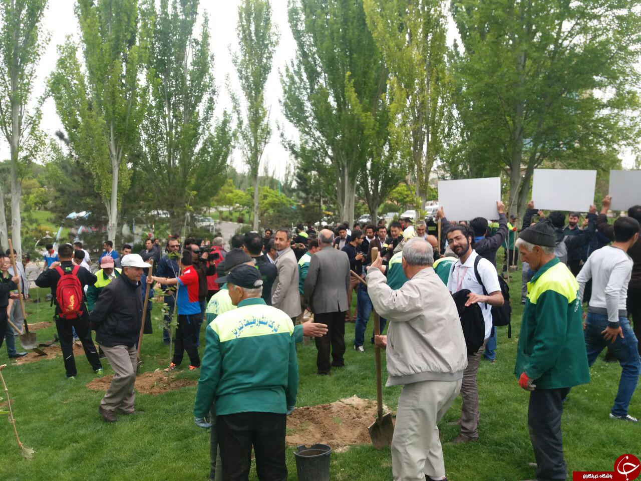 کاشت درخت توسط دوچرخه سواران تور بین المللی آذربایجان