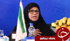 برنامه های فدراسیون والیبال برای بانوان تخصصی است
