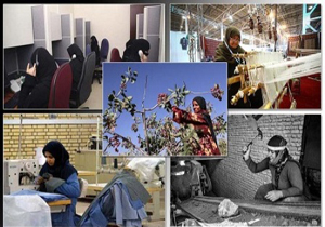 فعالیت بیش از 300شرکت تعاونی اقتصاد محلی درسرای محلات