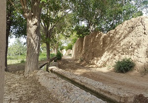 بهشتی در دل کویر یزد + تصاویر