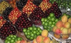با چه میوه هایی می توان چاقی را درمان کرد؟