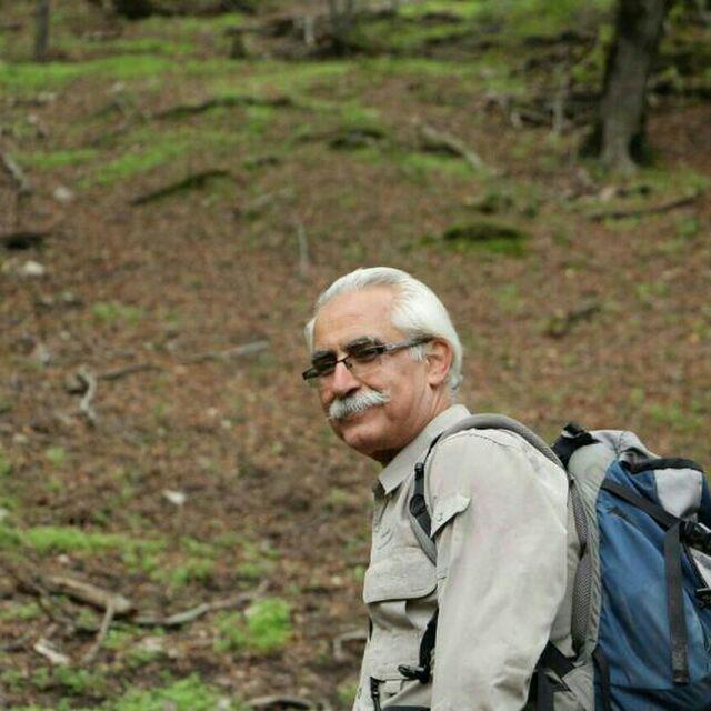 سانحه برای دو کوهنورد گلستان