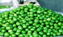گوجه سبز و خواص درمانی آن