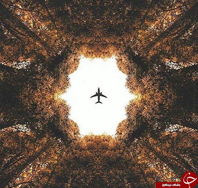 تصاویر برتر نشنال جئوگرافیک + 8 عکس