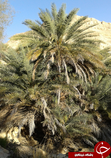 بُناب، سرزمین چشمه ها و آبشارها در هرمزگان
