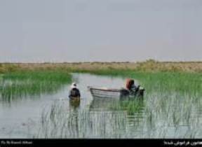 ارزش اکولوژی بالای تالاب هامون با شناسایی حدود 30 گونه پستاندار در این ناحیه