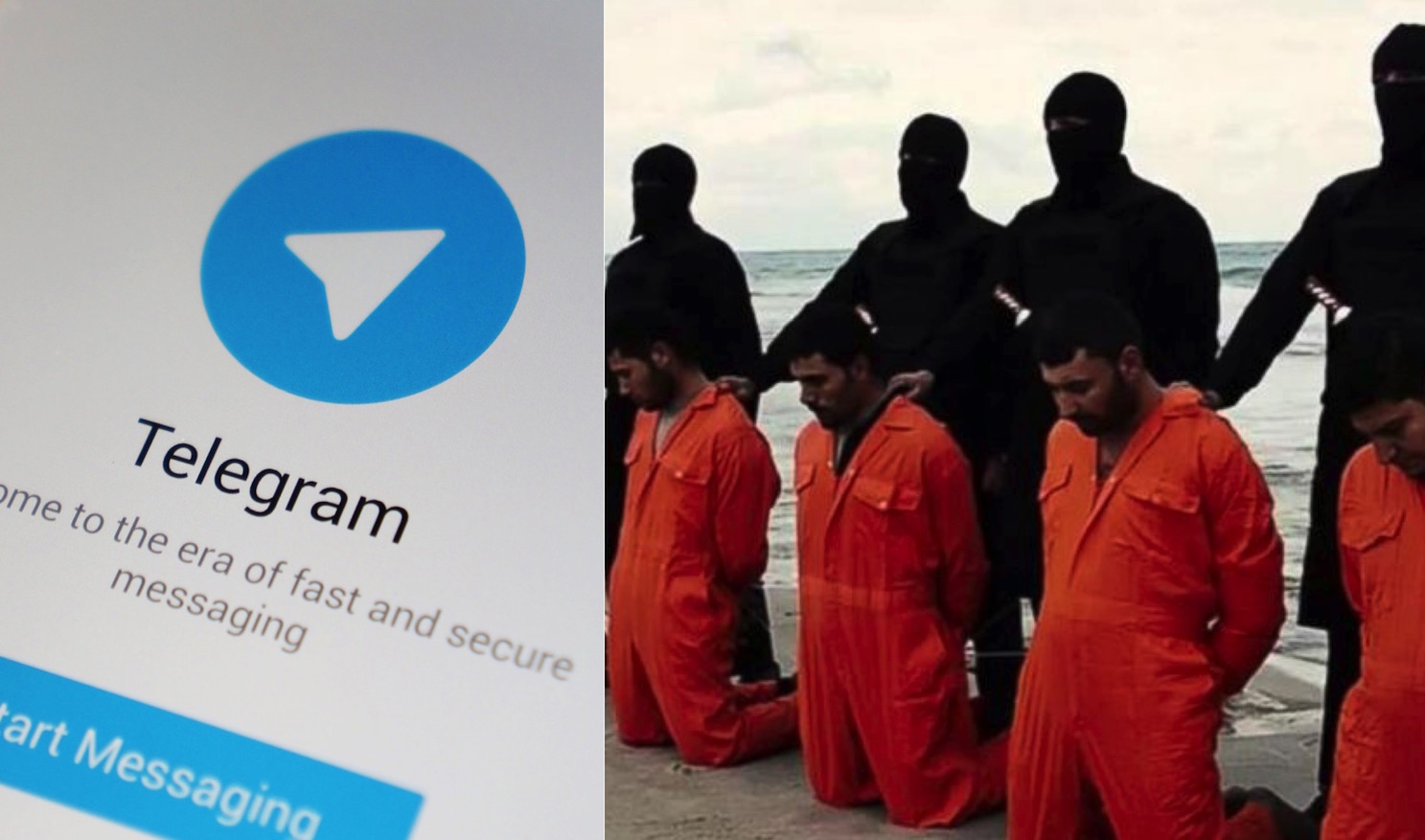 تلگرام، نرم افزار محبوب داعش