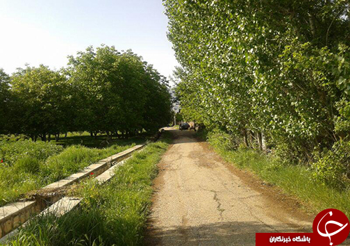 اوج زیبایی بهشت لرستان در اردیبهشت + تصاویر