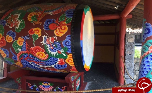 محل زندگی یانگوم کجاست؟+ تصاویر