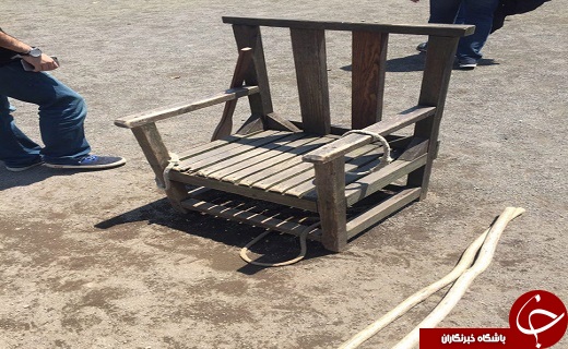 محل زندگی یانگوم کجاست؟+ تصاویر